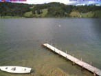 Archived image Webcam Lake &#34;Großer Alpsee&#34; 13:00