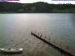 Archiv Foto Webcam Großer Alpsee bei Immenstadt 07:00