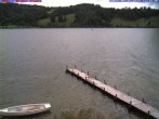 Archiv Foto Webcam Großer Alpsee bei Immenstadt 11:00
