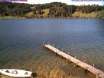 Archiv Foto Webcam Großer Alpsee bei Immenstadt 15:00