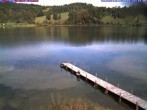 Archiv Foto Webcam Großer Alpsee bei Immenstadt 11:00