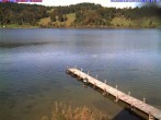 Archiv Foto Webcam Großer Alpsee bei Immenstadt 13:00