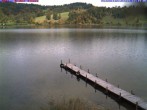 Archiv Foto Webcam Großer Alpsee bei Immenstadt 11:00