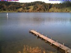Archiv Foto Webcam Großer Alpsee bei Immenstadt 15:00