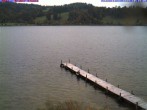 Archiv Foto Webcam Großer Alpsee bei Immenstadt 09:00