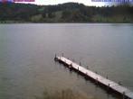 Archiv Foto Webcam Großer Alpsee bei Immenstadt 12:00