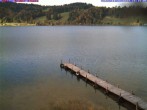Archiv Foto Webcam Großer Alpsee bei Immenstadt 15:00
