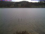 Archived image Webcam Lake &#34;Großer Alpsee&#34; 11:00