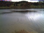 Archived image Webcam Lake &#34;Großer Alpsee&#34; 13:00