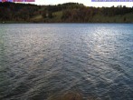 Archived image Webcam Lake &#34;Großer Alpsee&#34; 13:00