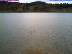 Archived image Webcam Lake &#34;Großer Alpsee&#34; 15:00