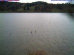 Archiv Foto Webcam Großer Alpsee bei Immenstadt 06:00