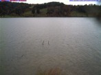Archiv Foto Webcam Großer Alpsee bei Immenstadt 11:00