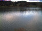 Archiv Foto Webcam Großer Alpsee bei Immenstadt 15:00