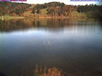 Archiv Foto Webcam Großer Alpsee bei Immenstadt 09:00