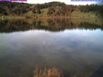 Archiv Foto Webcam Großer Alpsee bei Immenstadt 13:00
