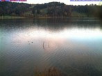 Archiv Foto Webcam Großer Alpsee bei Immenstadt 06:00
