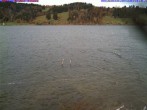 Archiv Foto Webcam Großer Alpsee bei Immenstadt 11:00