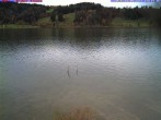 Archiv Foto Webcam Großer Alpsee bei Immenstadt 13:00