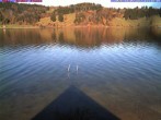 Archiv Foto Webcam Großer Alpsee bei Immenstadt 11:00