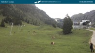 Archiv Foto Webcam Nebelhornbahn Mittelstation 09:00