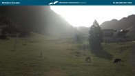 Archiv Foto Webcam Nebelhornbahn Mittelstation 07:00