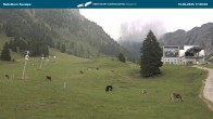 Archiv Foto Webcam Nebelhornbahn Mittelstation 18:00