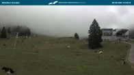 Archiv Foto Webcam Nebelhornbahn Mittelstation 11:00