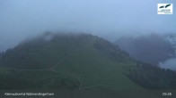 Archiv Foto Webcam Walmendingerhorn Kleinwalsertal 04:00