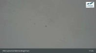 Archived image Webcam Walmendingerhorn Mittelberg 10:00