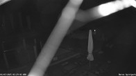 Archiv Foto Webcam Fernsicht auf den Gasthof Buron Stadl im Tal 01:00