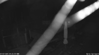 Archiv Foto Webcam Fernsicht auf den Gasthof Buron Stadl im Tal 03:00