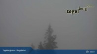 Archived image Webcam Distant view of the mountain station Tegelberg 10:00