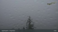 Archiv Foto Webcam Fernblick von der Bergstation am Tegelberg 12:00