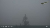 Archiv Foto Webcam Fernblick von der Bergstation am Tegelberg 10:00