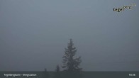 Archiv Foto Webcam Fernblick von der Bergstation am Tegelberg 02:00