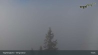 Archiv Foto Webcam Fernblick von der Bergstation am Tegelberg 14:00