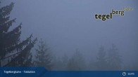 Archiv Foto Webcam Talstation am Tegelberg (800 Meter) 04:00