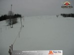 Archived image Webcam Thalerhöhe near Immenstadt 11:00