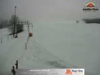 Archived image Webcam Thalerhöhe near Immenstadt 07:00