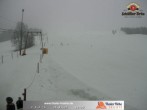 Archived image Webcam Thalerhöhe near Immenstadt 09:00