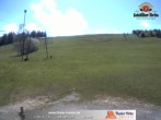 Archiv Foto Webcam Thalerhöhe bei Immenstadt 11:00