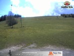 Archiv Foto Webcam Thalerhöhe bei Immenstadt 11:00