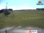 Archived image Webcam Thalerhöhe near Immenstadt 11:00
