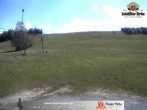 Archived image Webcam Thalerhöhe near Immenstadt 13:00