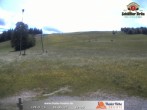 Archiv Foto Webcam Thalerhöhe bei Immenstadt 11:00