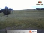 Archived image Webcam Thalerhöhe near Immenstadt 19:00