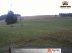 Archiv Foto Webcam Thalerhöhe bei Immenstadt 11:00