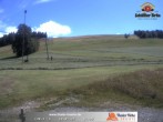 Archived image Webcam Thalerhöhe near Immenstadt 08:00