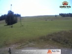 Archiv Foto Webcam Thalerhöhe bei Immenstadt 11:00